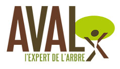 aval expert arbre