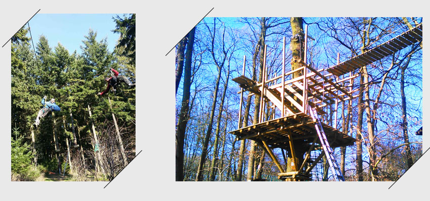 construire parc foret