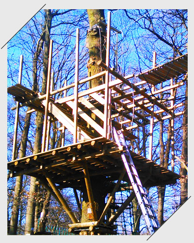 cabanes construire parc foret